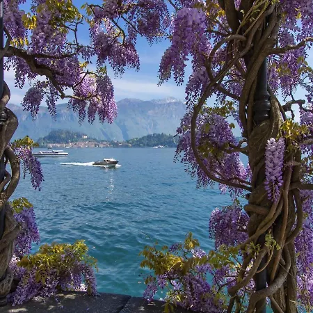 Vista D'oro