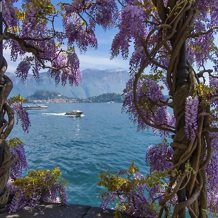 Vista D'oro Perledo