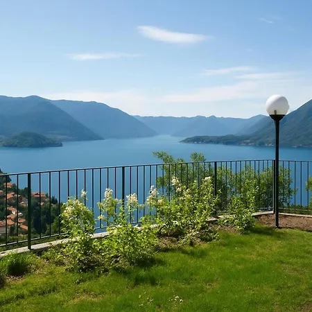 Vista D'oro