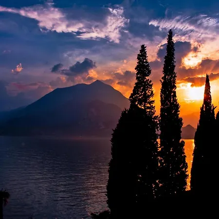 Vista D'oro *